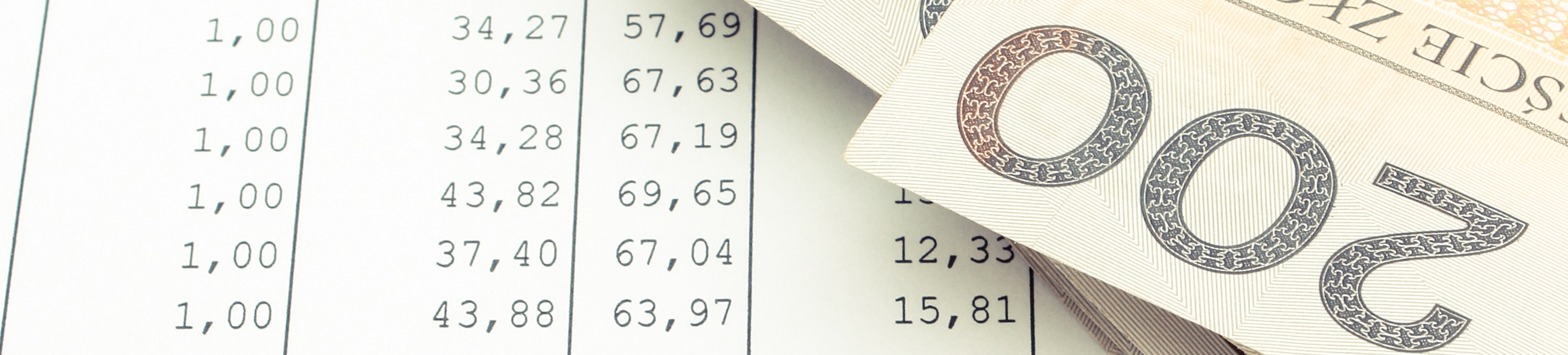 polish-currency-money-on-spreadsheet-business-B3UQE2P-1