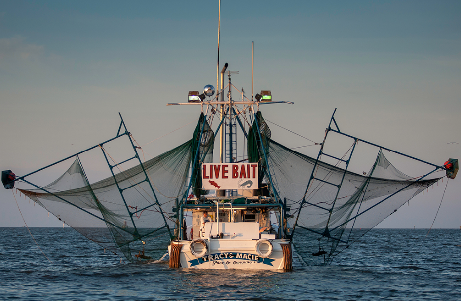 Deanies_Seafood_Louisiana_Seafood_Promotion_and_Marketing_Board_shrimp_boat_farm_raised_wild_caught_certified_louisaina_shrimp.png