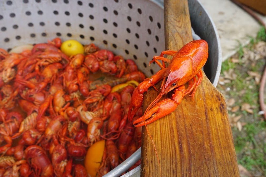 crawfish boil best crawfish in new orleans deanies seafood.jpg