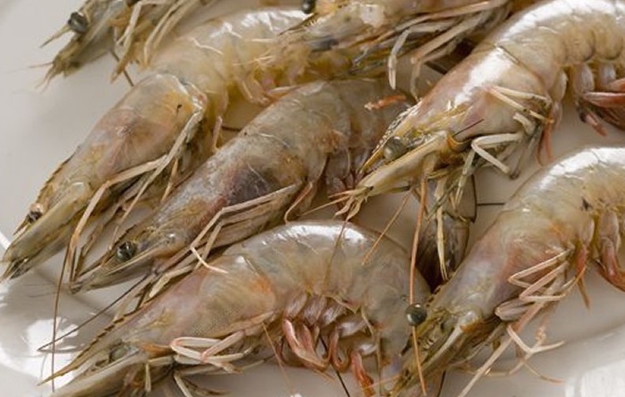 gulf shrimp louisiana shrimp best seafood in new orleans deanies seafood