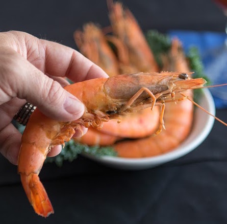 louisiana gulf shrimp 