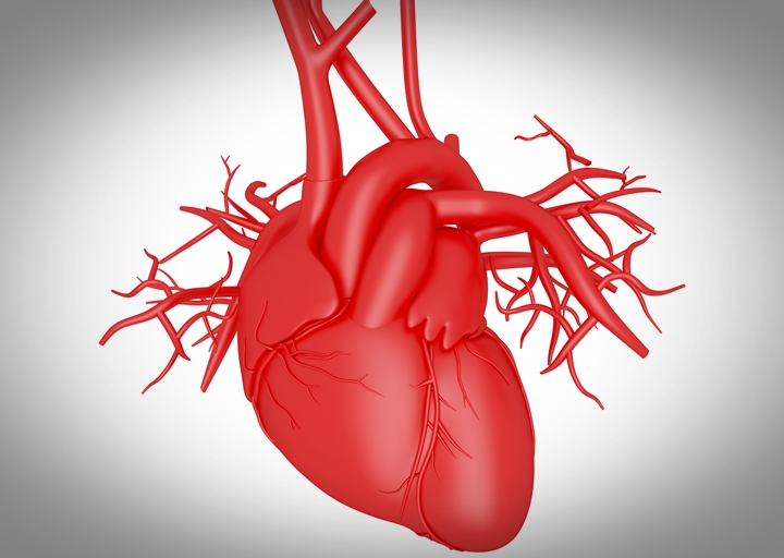 Mar 16 - Stem Cell Research to Regrow Heart Muscle Tissue