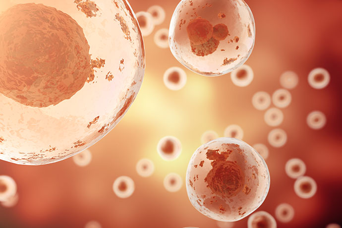 Sep17-Cord-Blood-Stem-Cells-vs-Bone-Marrow-Stem-Cells
