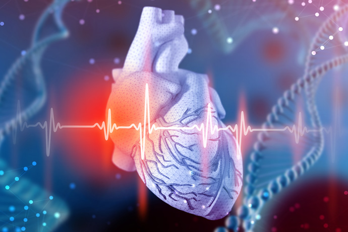 Dec 21 - Heart Attack Modeled With Human Stem Cells