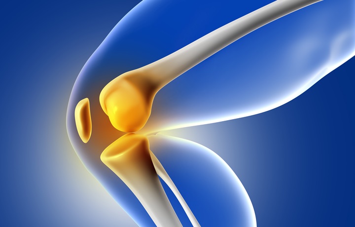 Aug16-Regenerating Knee Cartilage Using Stem Cells.jpg