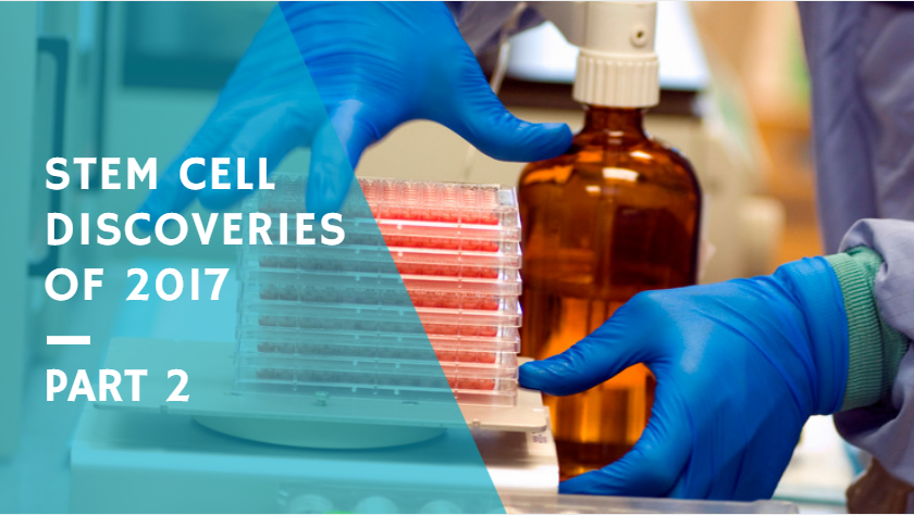 Dec24-stem-cell-discoveries-p2.png