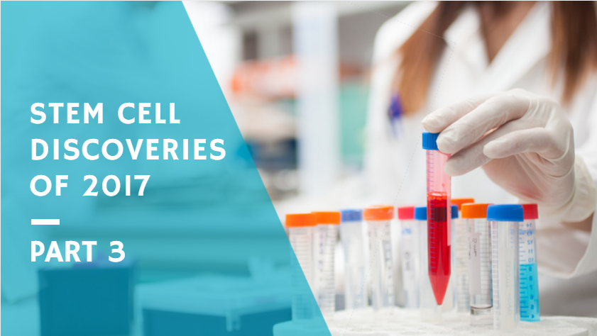 Dec26-stem-cell-discoveries-p3.png