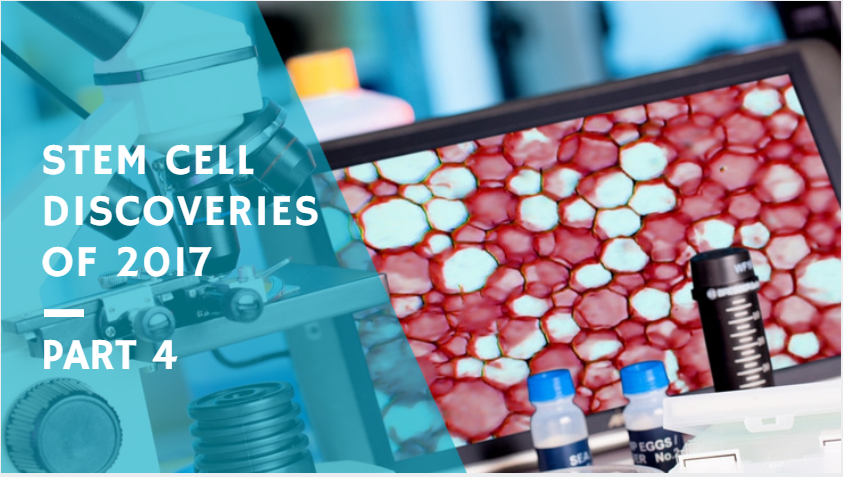 Dec28-stem-cell-discoveries-p4.png