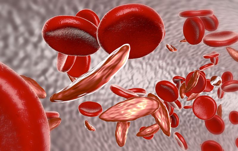 Mar09_Drug from Stem Cells to Treat Blood Disorders.jpg