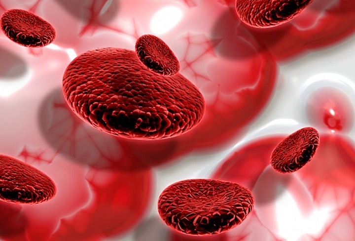 Nov11-Cord-Blood-Stem-Cells-for-Renal-Anemia.jpg