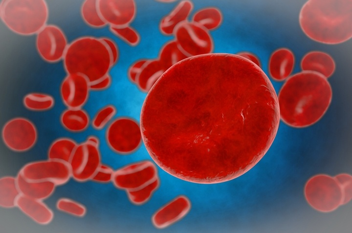 Oct30-Cord Blood Stem Cells vs Bone Marrow Stem Cells.jpg