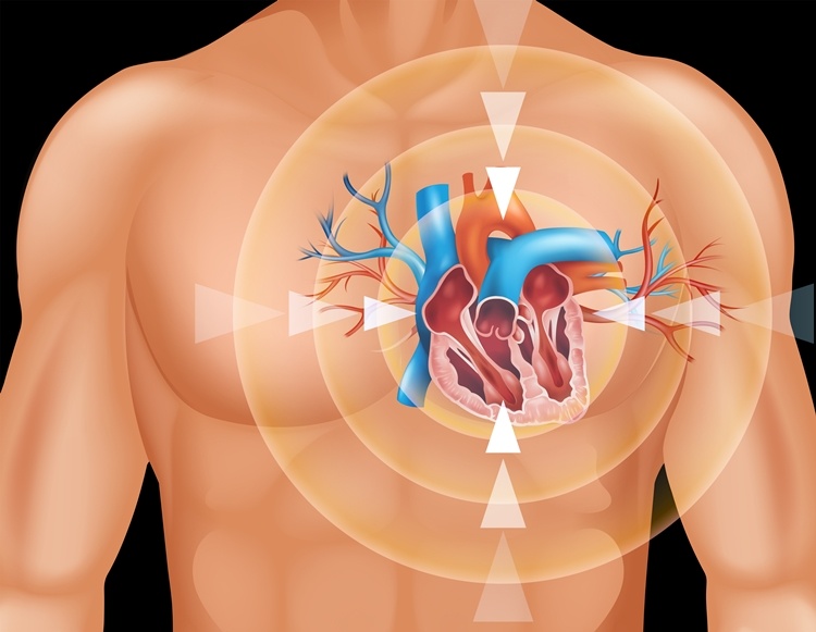 Feb04-Platelet Coated Stem Cells Could Offer Targeted Heart Repair.jpg