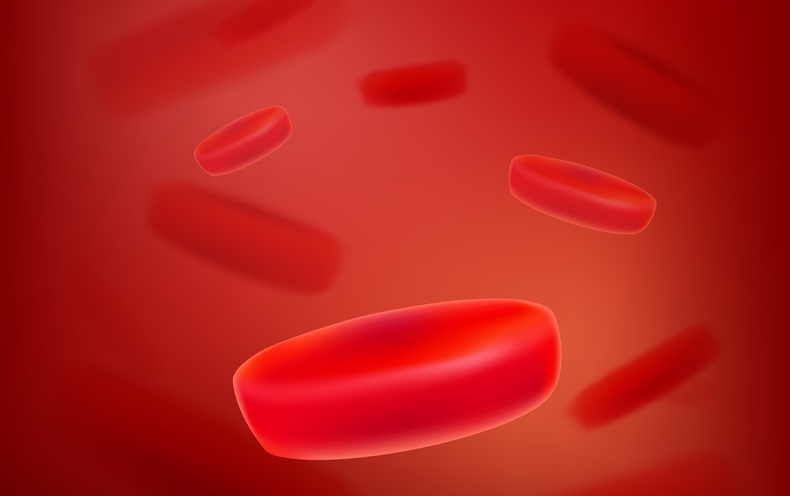 Jul 31 - Blood Stem Cells Balance the Immune System