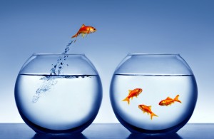 Jumping Out of the Fish Bowl: 3 Key Benefits to Taking a Journey to a New  Destination