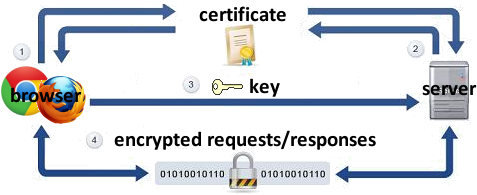 What-To-Do-If-You-Get-a-HTTPS-Not-Secure-Warning-1-1.png