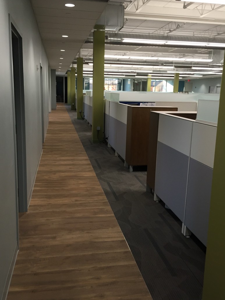 Office Spotlight Telamon Insurance Office Food and
