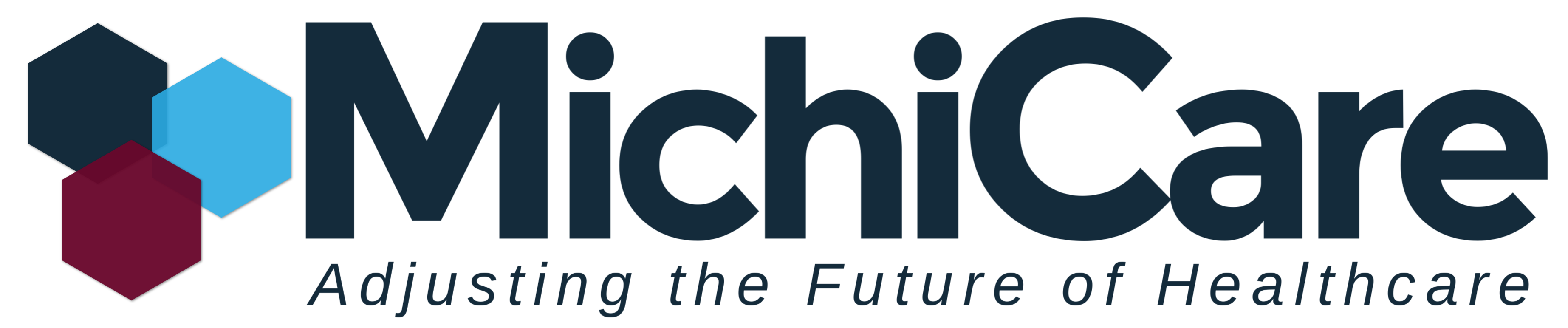 MichiCare Logo-1