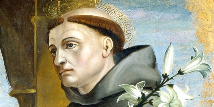 A Meditation on Saint Anthony | OLCM Bombay