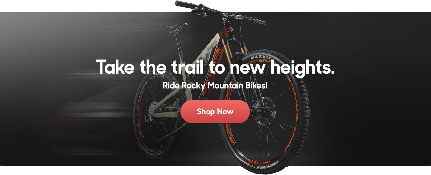 my bicycle shop