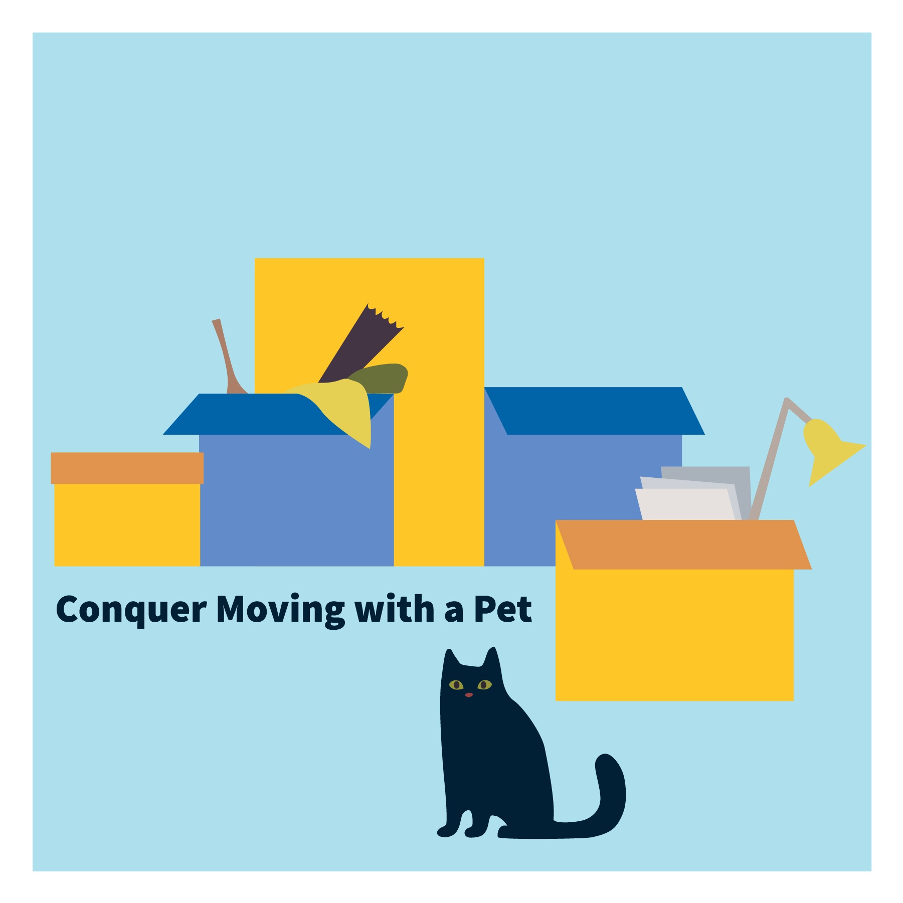 moving with pet blog-01