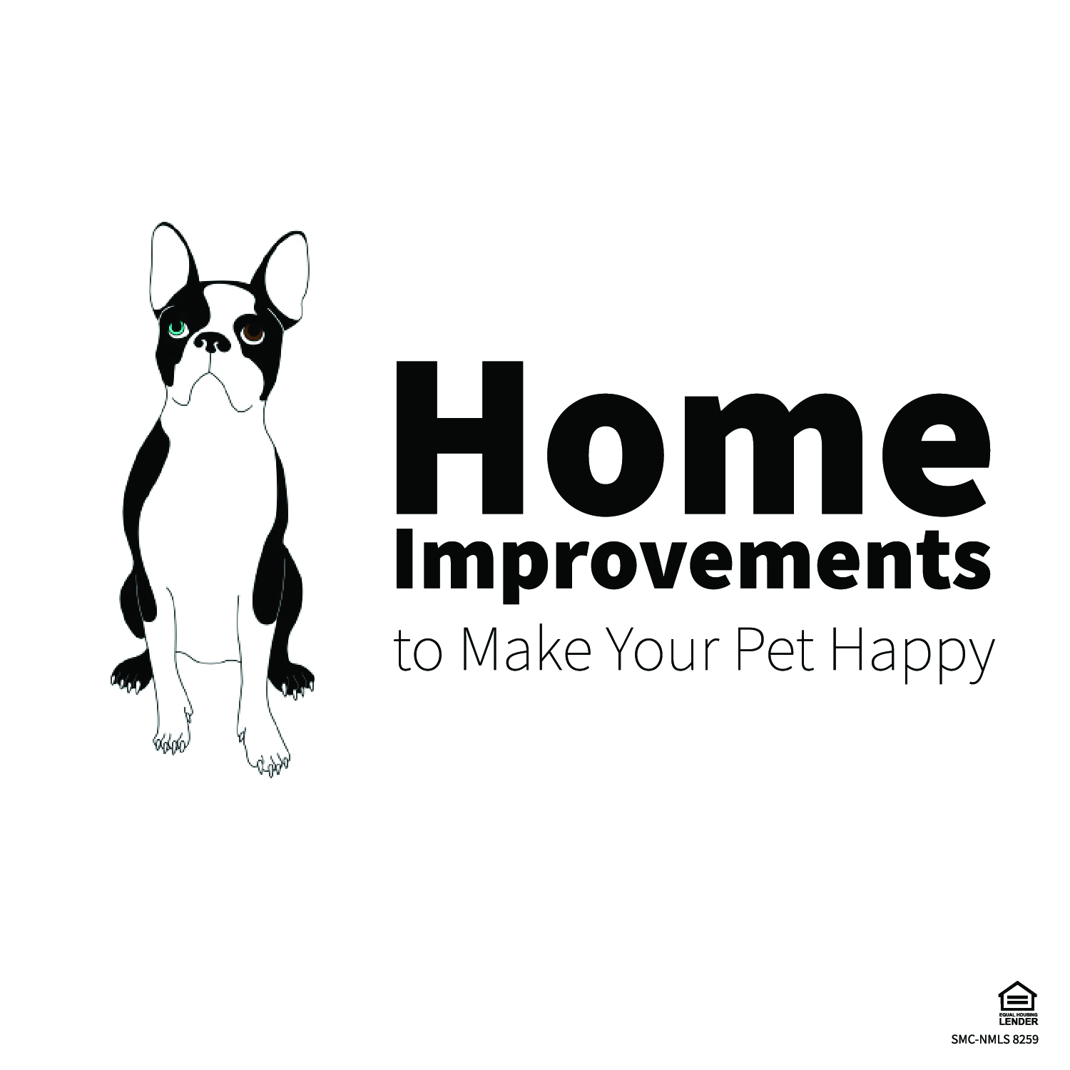 Home improvements to make your pets happy blog-01