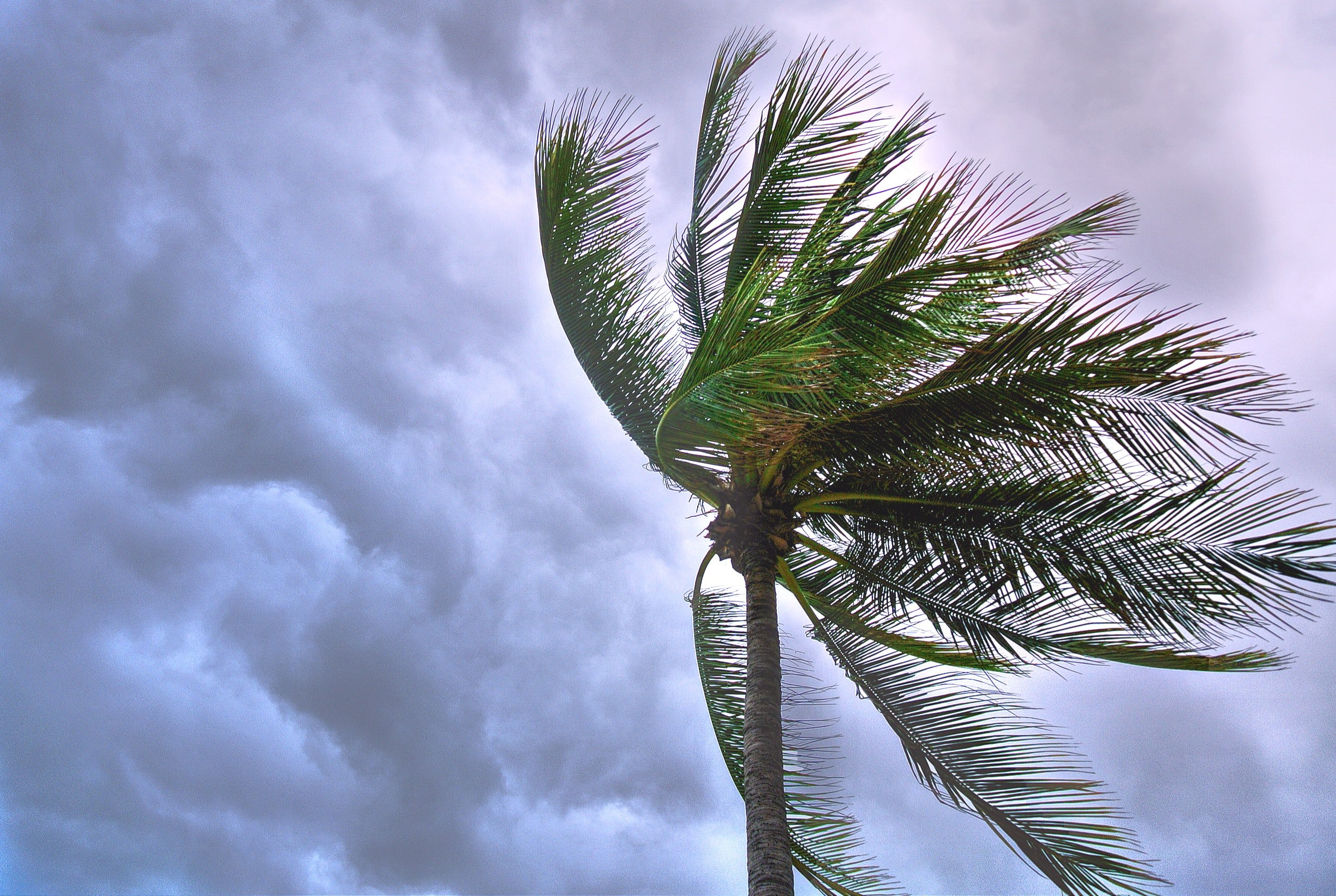 How High Wind Speed Can Impact Your Home Builds
