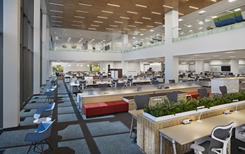 Mars Drinks Case Study