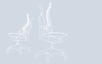 Herman Miller Supporting the Spine When Seated White Paper