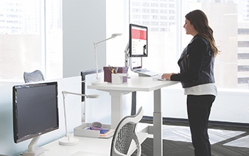 Herman Miller The Eyes Always Win White Paper