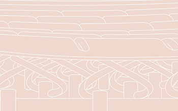 Herman Miller Improving Oxygen Flow While Seated White Paper