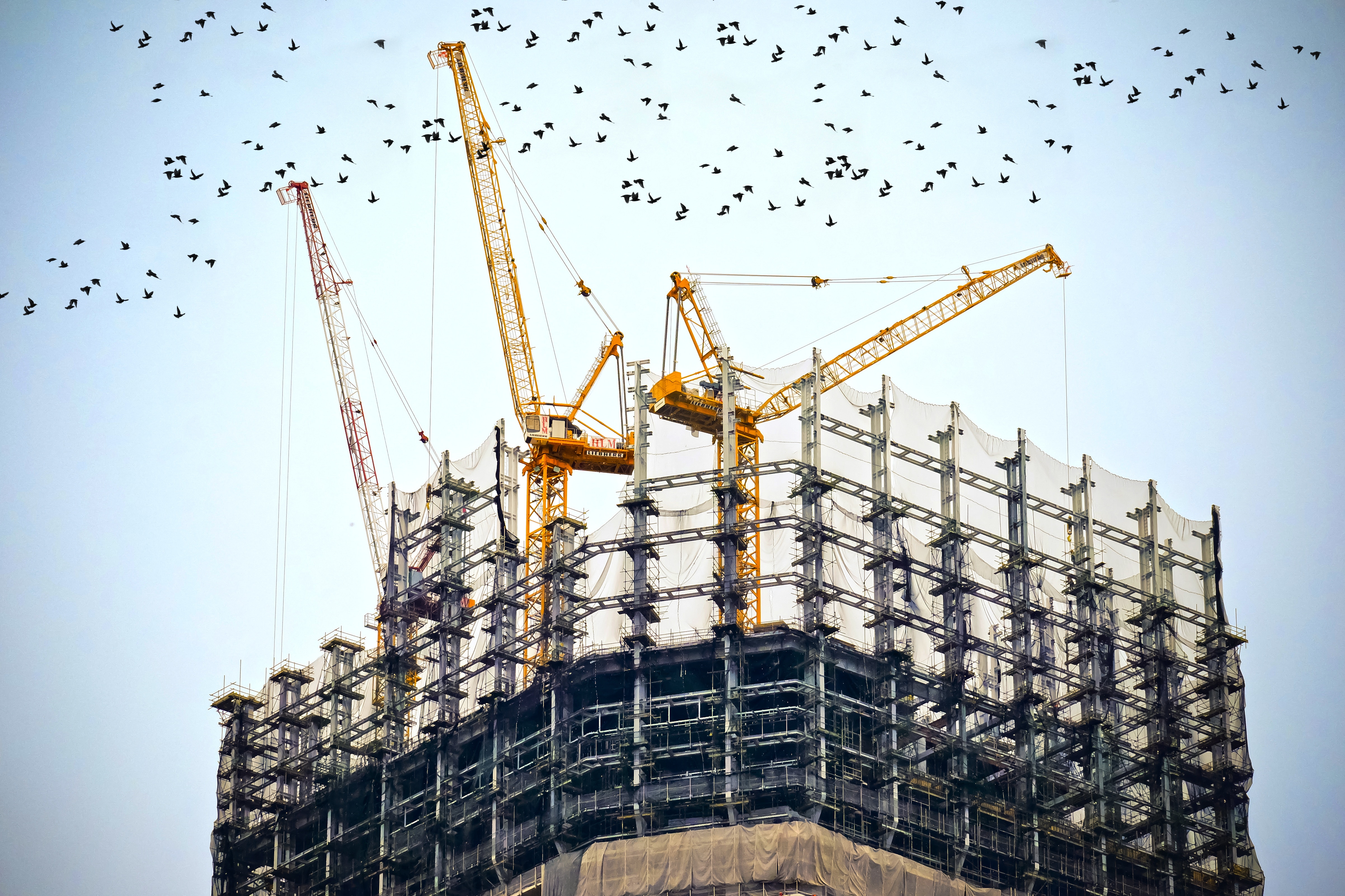 building-skeleton-with-construction-crane.jpg