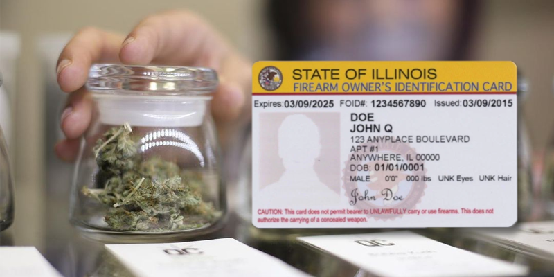 Marijuana In Illinois Foid Cards What You Need To Know
