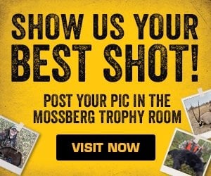 mossberg 402 palomino manual