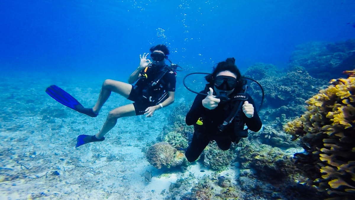 donde bucear riviera maya