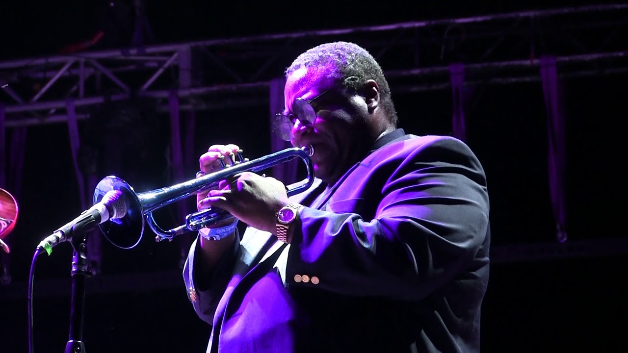 riviera maya jazz festival evento