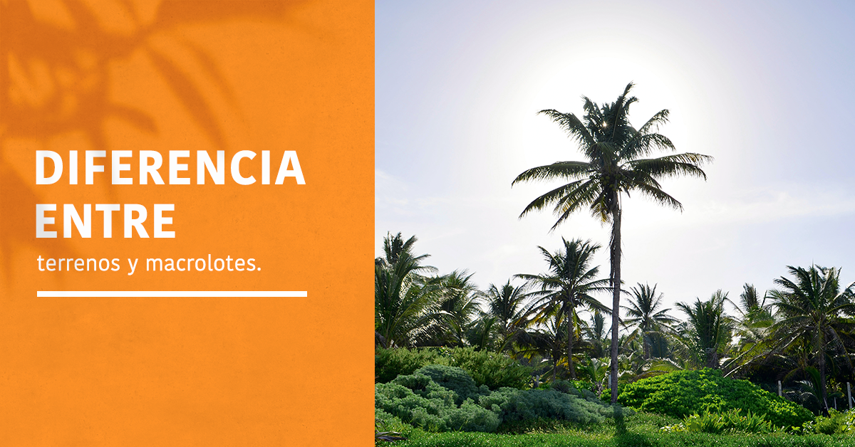 diferencias macrolotes y terrenos portadas blog
