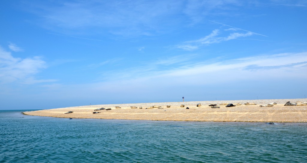 Glamping-Blakeney-Point-1024x545