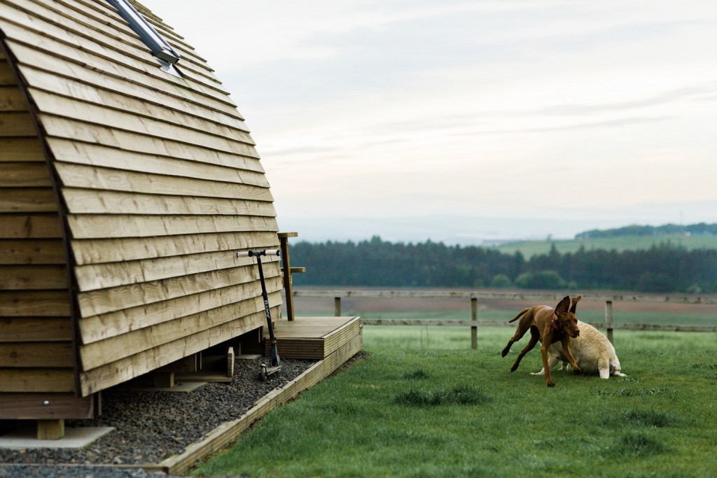 Wigwam-_-dogs-1024x683