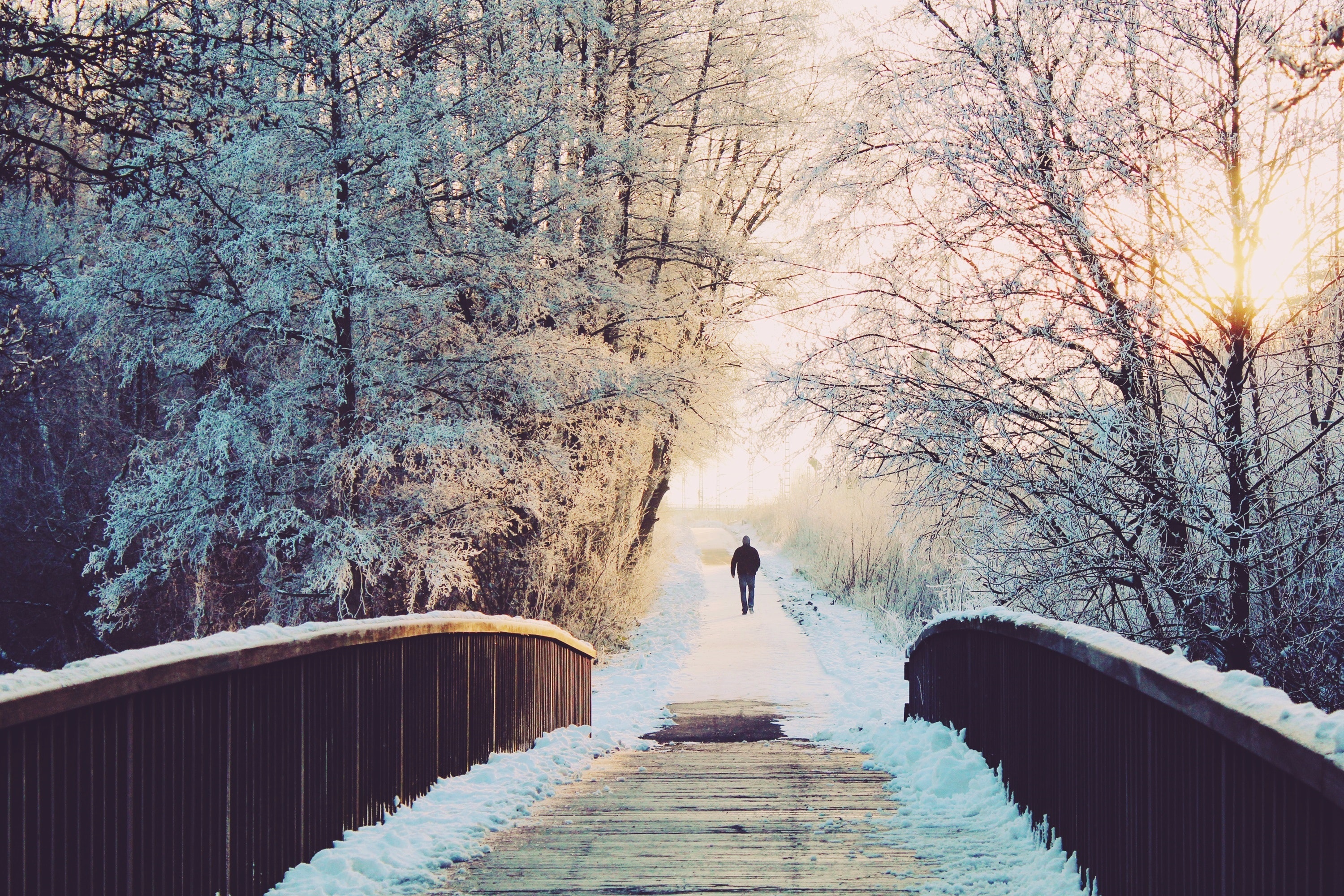 Walking in the winter