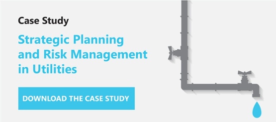 Case Study Strategic Planning and Risk Management