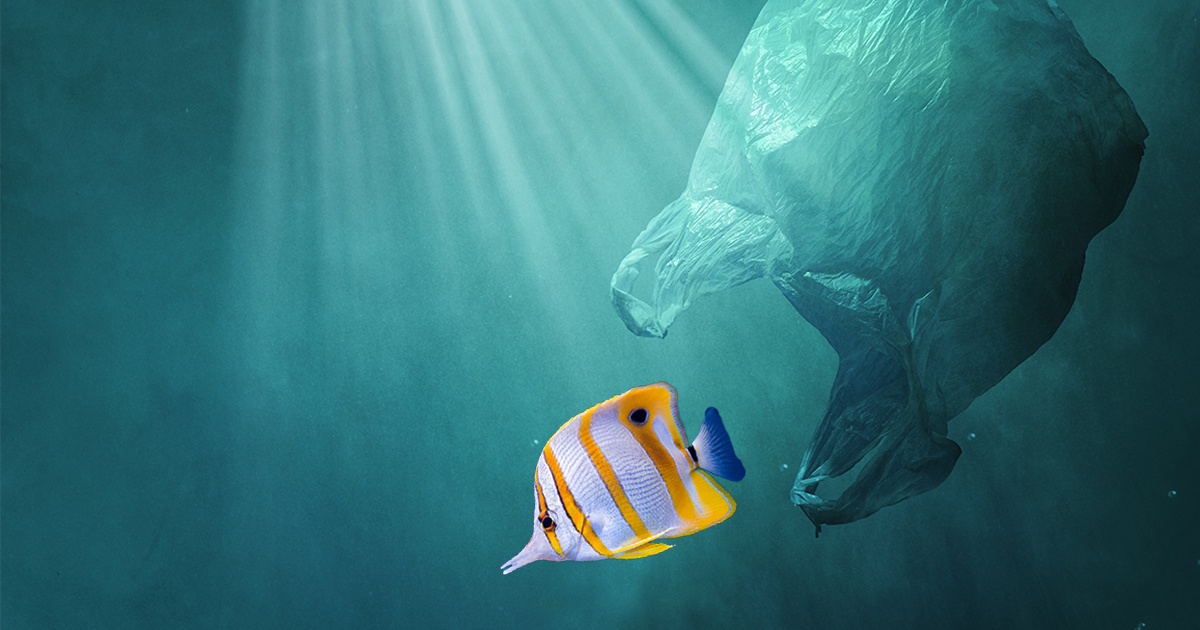 World Water Day_fish swimming plastic ocean