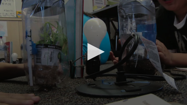 VIDEO: Climate Change in a Bottle: Complete Lesson