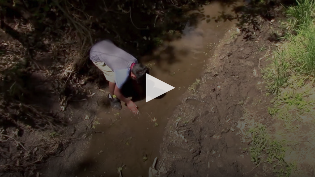 VIDEO: Citizen Science: Creek Water Analysis 