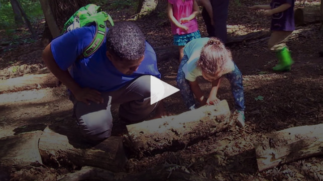 VIDEO: Learning Through Nature