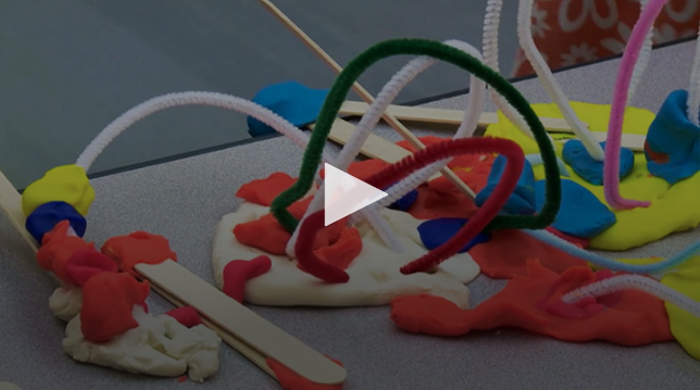 VIDEO: STEM in Early Learning
