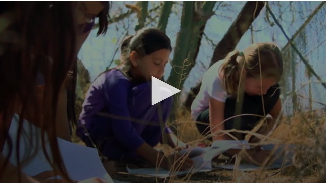 VIDEO: NGSS: Disciplinary Core Ideas