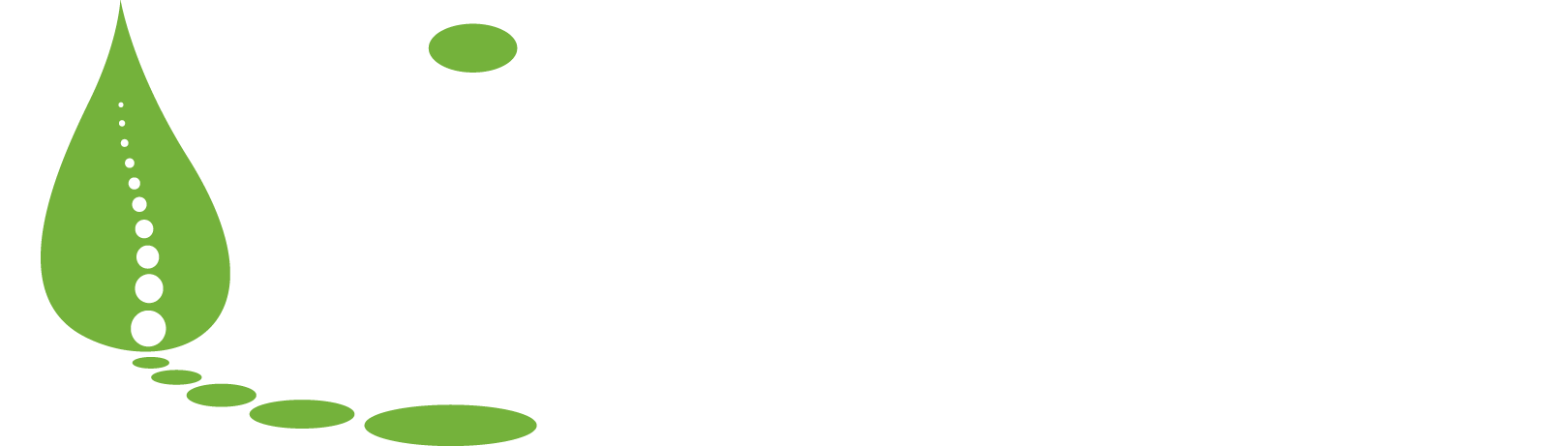 Village Chiropractic