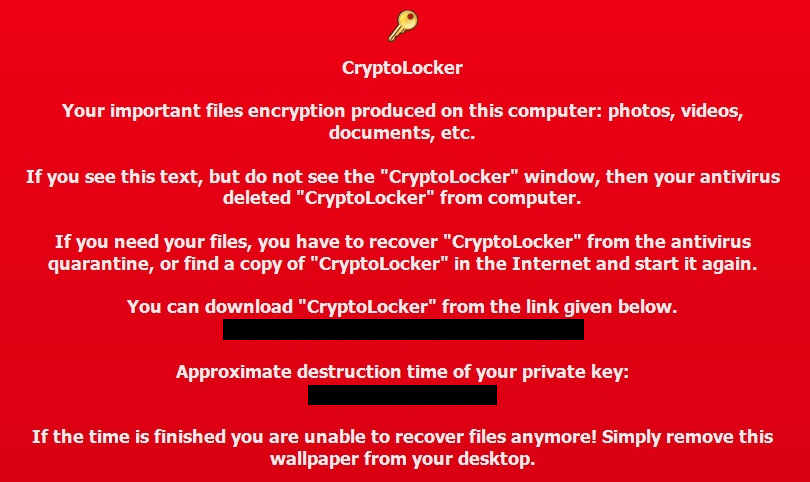 crypto locker worm