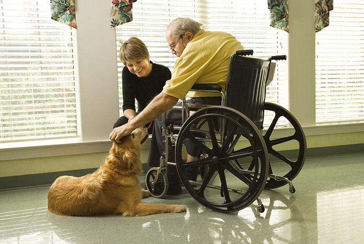 Elderly-Man-With-Therapy-Dog