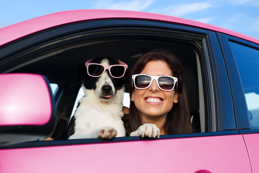 bigstock-Woman-And-Dog-In-Pink-Car-On-S-236541232